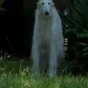 Meet your Posher, Jayme